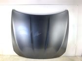 Engine bonnet/hood
