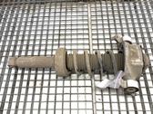 Rear shock absorber/damper