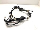 Rear door wiring loom