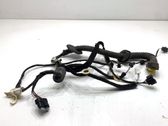 Rear door wiring loom