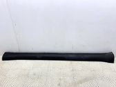 Front sill (body part)