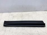 Listón embellecedor de la puerta delantera (moldura)