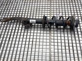 Front shock absorber/damper