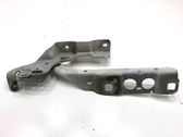 Bisagras del capó/tapa del motor