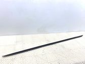 Front sill (body part)