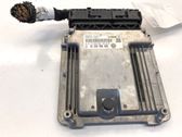 Engine control unit/module ECU