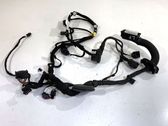 Front door wiring loom