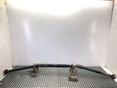 Drive shaft (set)