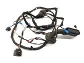 Rear door wiring loom