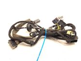 Rear door wiring loom