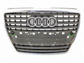 Atrapa chłodnicy / Grill