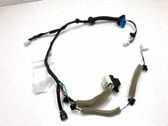 Rear door wiring loom