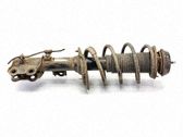 Front shock absorber/damper