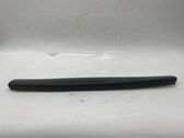 Loading door trim (molding)