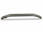 Front bumper support beam