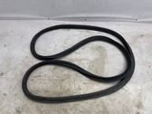 Trunk rubber seal (body)