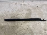 Tailgate strut