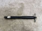 Rear shock absorber/damper