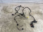 Front door wiring loom