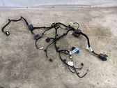 Rear door wiring loom