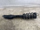 Front shock absorber/damper