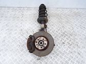 Front wheel hub spindle knuckle