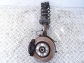 Front wheel hub spindle knuckle