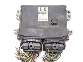 Calculateur moteur ECU