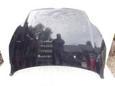 Engine bonnet/hood