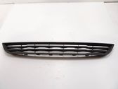 Grille inférieure de pare-chocs avant