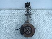 Front wheel hub spindle knuckle