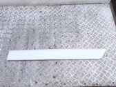 Sliding door trim (molding)