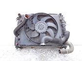 Radiator set