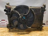 Electric radiator cooling fan