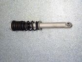 Rear shock absorber with coil spring