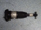 Shock absorber/damper/air suspension