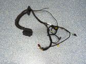 Front door wiring loom
