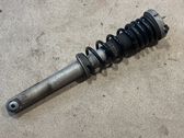 Rear shock absorber/damper
