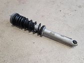 Rear shock absorber with coil spring