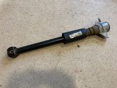 Rear shock absorber/damper