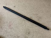 Tailgate/trunk strut/damper