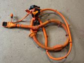 Other wiring loom