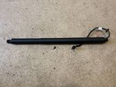 Tailgate/trunk strut/damper