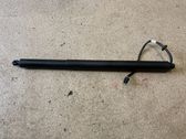 Tailgate/trunk strut/damper