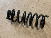 Rear coil spring