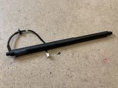 Tailgate/trunk strut/damper