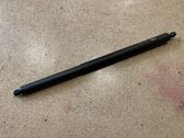 Tailgate/trunk strut/damper