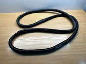 Rear door rubber seal (on body)