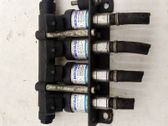 LP gas injector