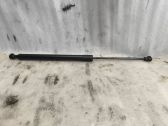 Tailgate/trunk strut/damper